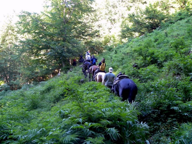 Trekking ecuestre inmerso en la naturaleza 